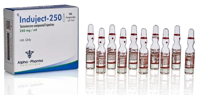 Durateston Induject 10 Ampolas 250mg/ml - Alpha Pharma: Tudo Sobre o Produto