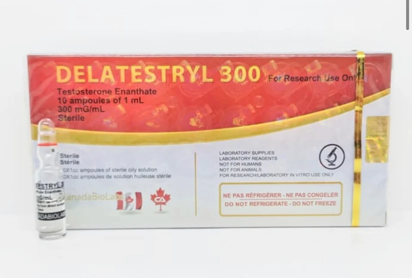 Enantato de Testosterona 250mg/ml - Canada Labs: Eficácia e Segurança