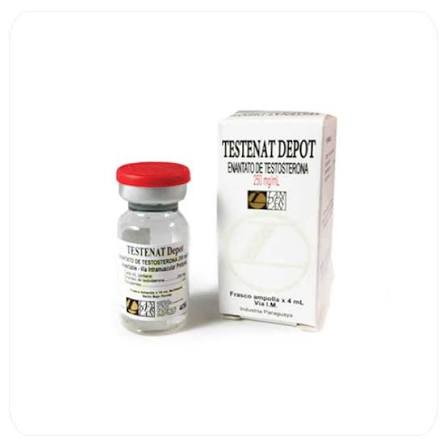 Testenat Enantato de Testosterona 250mg/ml - Eficácia e Segurança